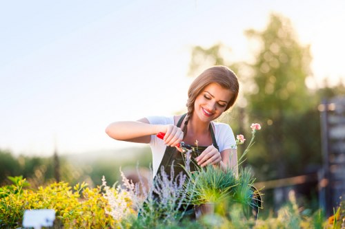 Local lawn mowing service for a Woolwich garden with neat edges