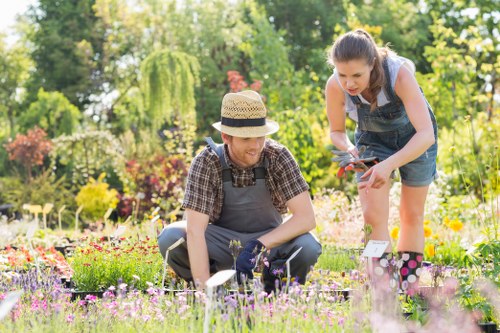 Landscape gardeners planning an outdoor project in Woolwich