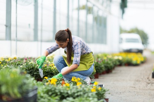 Landscaping team providing transparent pricing in Woolwich