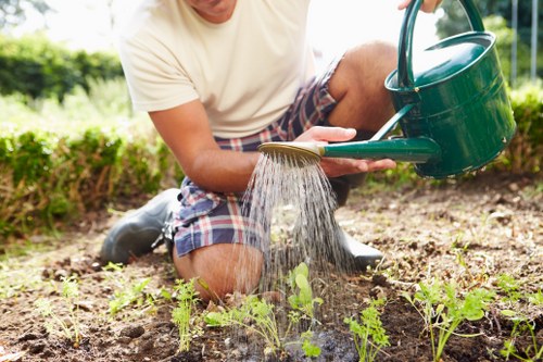 Step-by-step landscaping work for residential and commercial sites in Woolwich