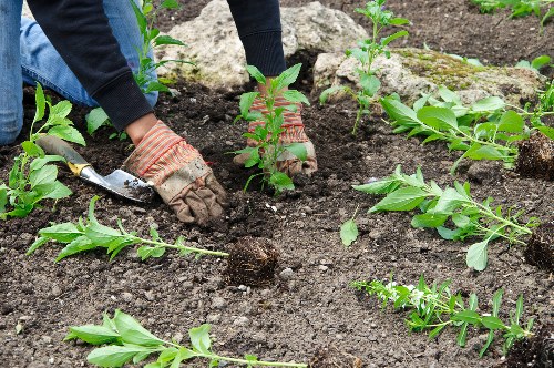 Landscapers Woolwich payment security and protected checkout process