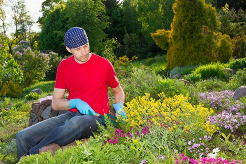 Safety-focused insured rubbish company working on a landscaped property