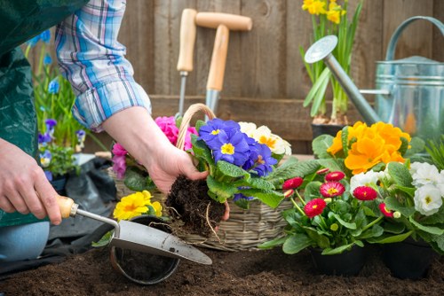 Professional garden maintenance for a mixed property in Woolwich