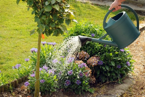 Hard and soft landscaping features for local properties in Woolwich