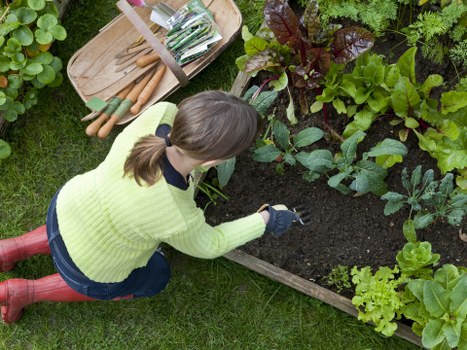 Professional landscaping in Woolwich with planted borders