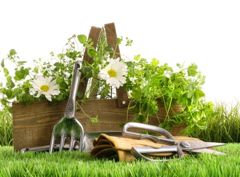 Patio and planting improvements for a Woolwich outdoor space