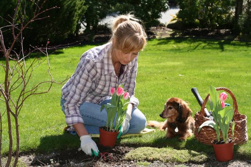 Professional landscaping design in a Woolwich garden