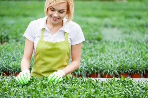 Free quote policy for landscaping and rubbish removal