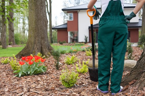 Commercial garden upkeep for a local Woolwich premises