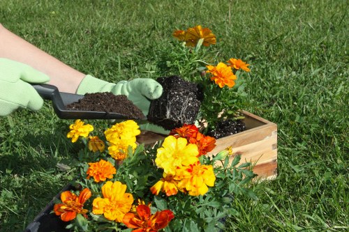 Ethical landscaping business commitment to human rights