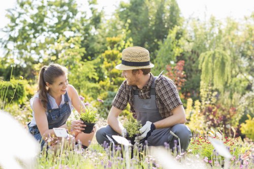 Local garden preparation and outdoor improvement service in Woolwich